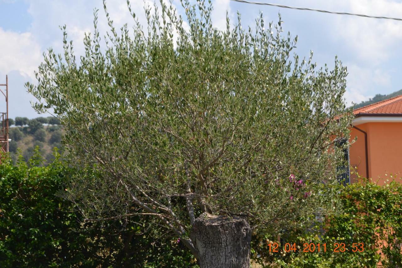 Oasi Peppa Villa Ascea Exterior foto